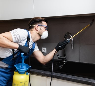 Chris Pest Control Campbellfield Milestone
